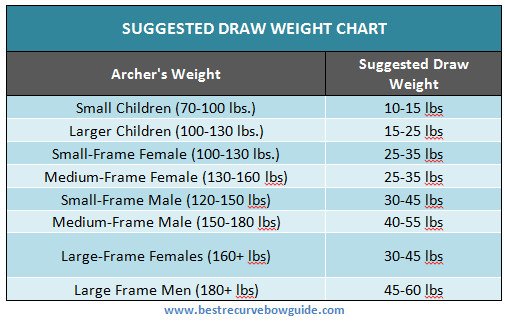 suggested draw weight chart