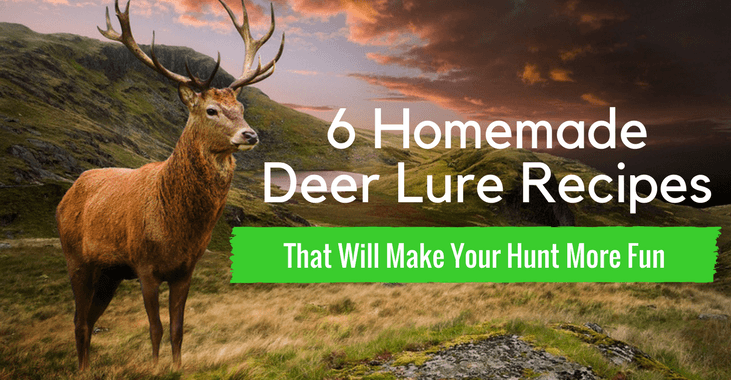 Homemade Deer Lure