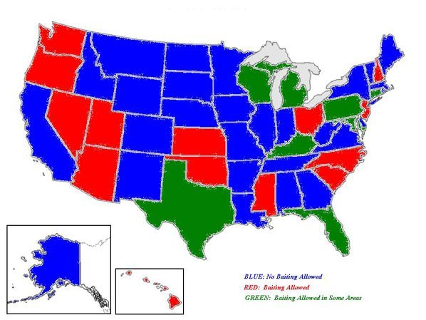 states that allow baiting for deer hunting