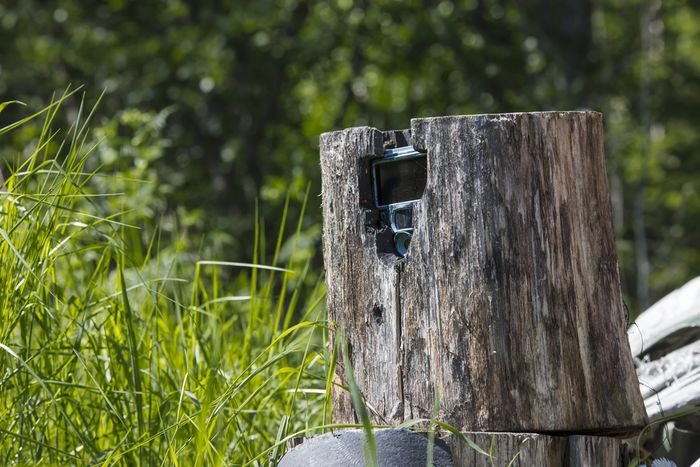 Trail Cameras for Increasing Your October Odds