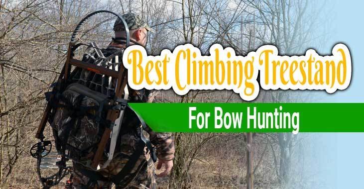 Best Climbing Treestand for Bowhunting