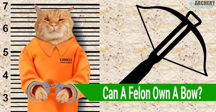Can A Felon Own A Bow?