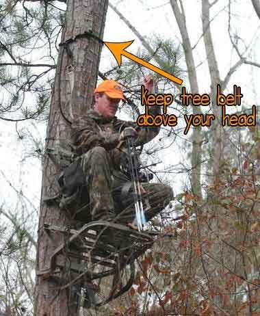 keep your tree belt above your head
