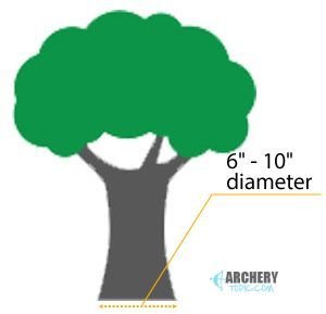 How Big A Tree Do I Need For A Climbing Stand