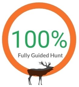 fully guided hunt