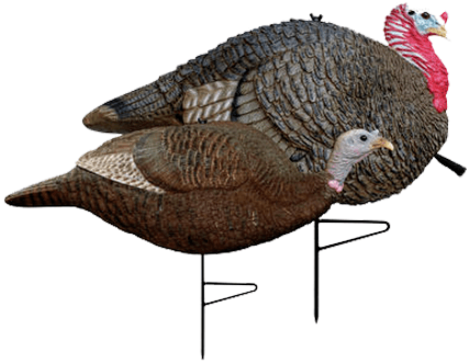 How To Place Decoys For Turkey Hunting