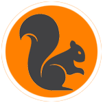 Squirrel Hunting Dogs Breeds