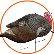 Chapter 6: How To Place Decoys For Turkey Hunting