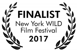 New York Wild Film Festival 2017