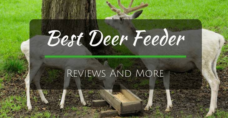 Feed Station Deer Gravity Feeder 40lbs Capacity Tree Mounting Strap Included 