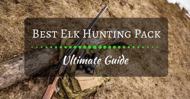 7 Best Elk Hunting Pack 2024 Reviews