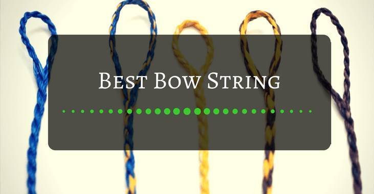 Best Bow String [2023 Guide]