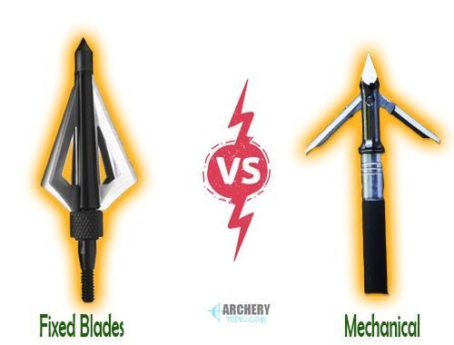 Types of Broadheads - Fixed Blade vs Mechanical