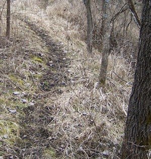 Deer trail