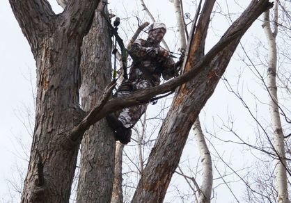 Tree Saddle hunting