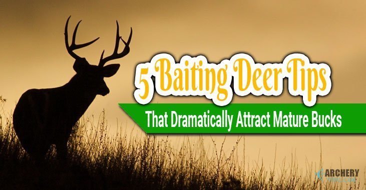deer baiting tips