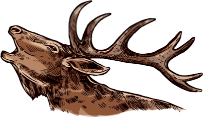 what is elk hunting?