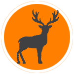 deer hunting dog breeds