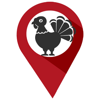 Where to Find Wild Turkeys