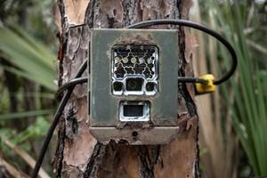 locked trail camera