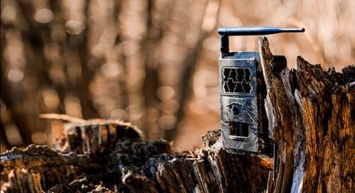 4. Set Up Trail Cams