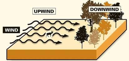upwind vs downwind