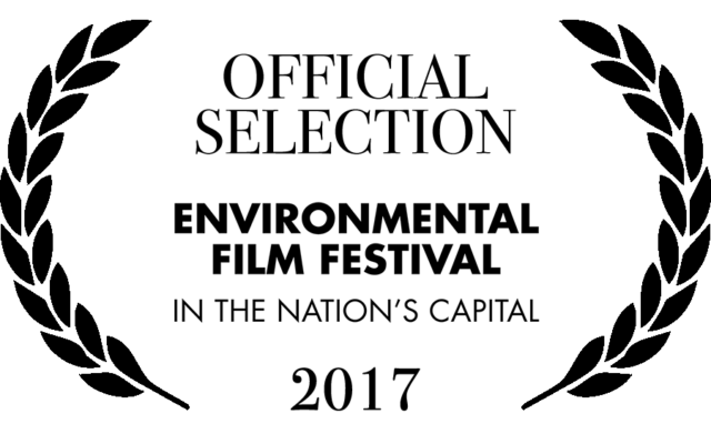 Official selection 2017