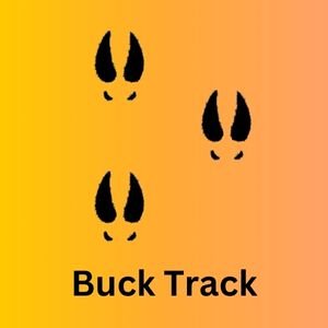 buck track