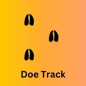 doe track