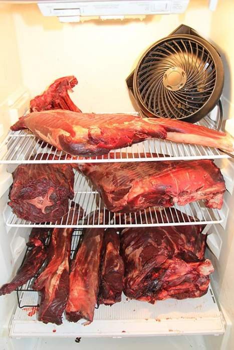 age deer meat in fridge