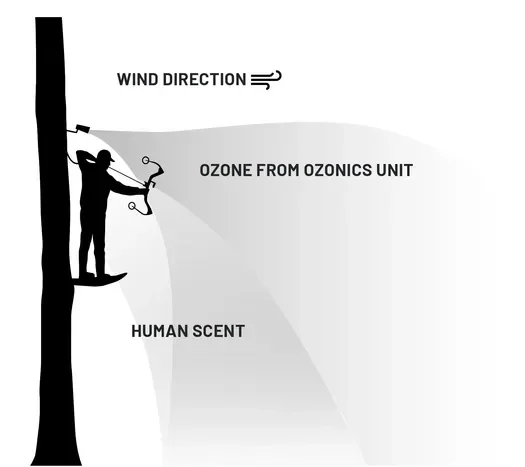 how ozonics work
